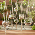 Macrame hanger glass bowl