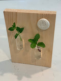 Propagation wall art