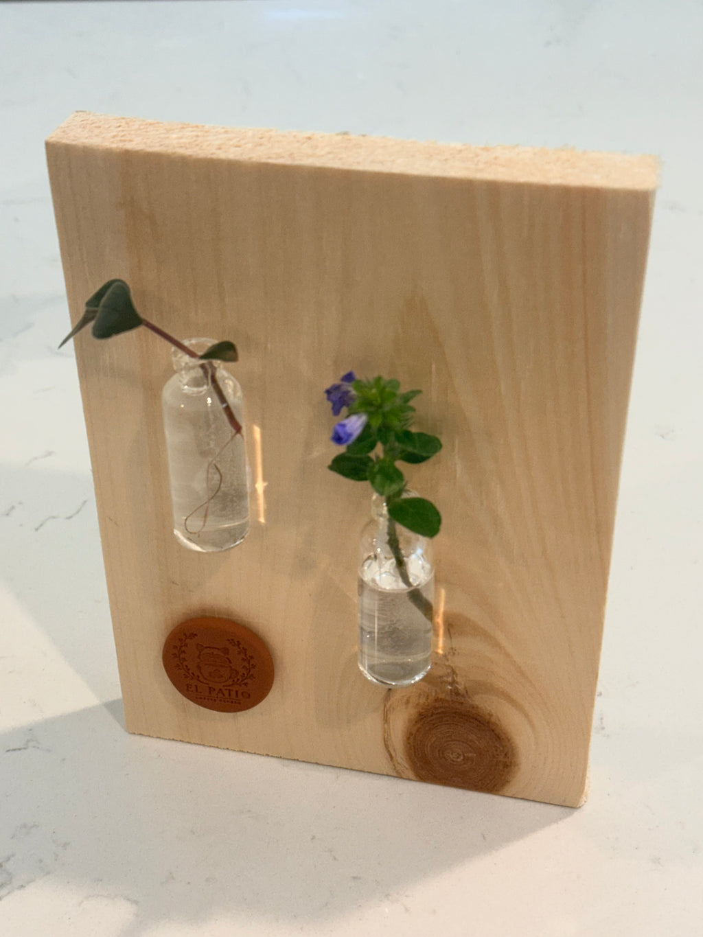 Propagation wall art