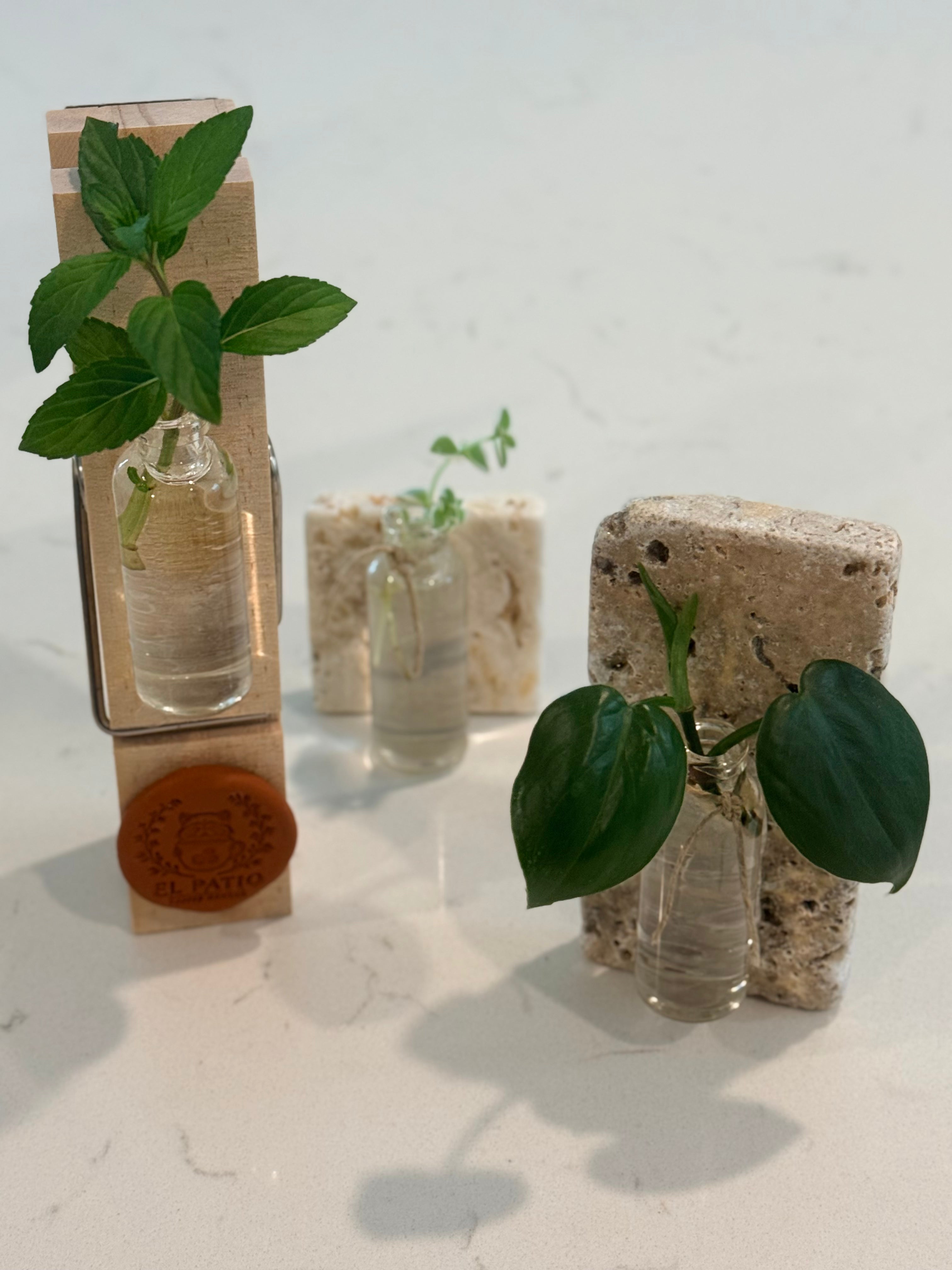 Propagation Magnets