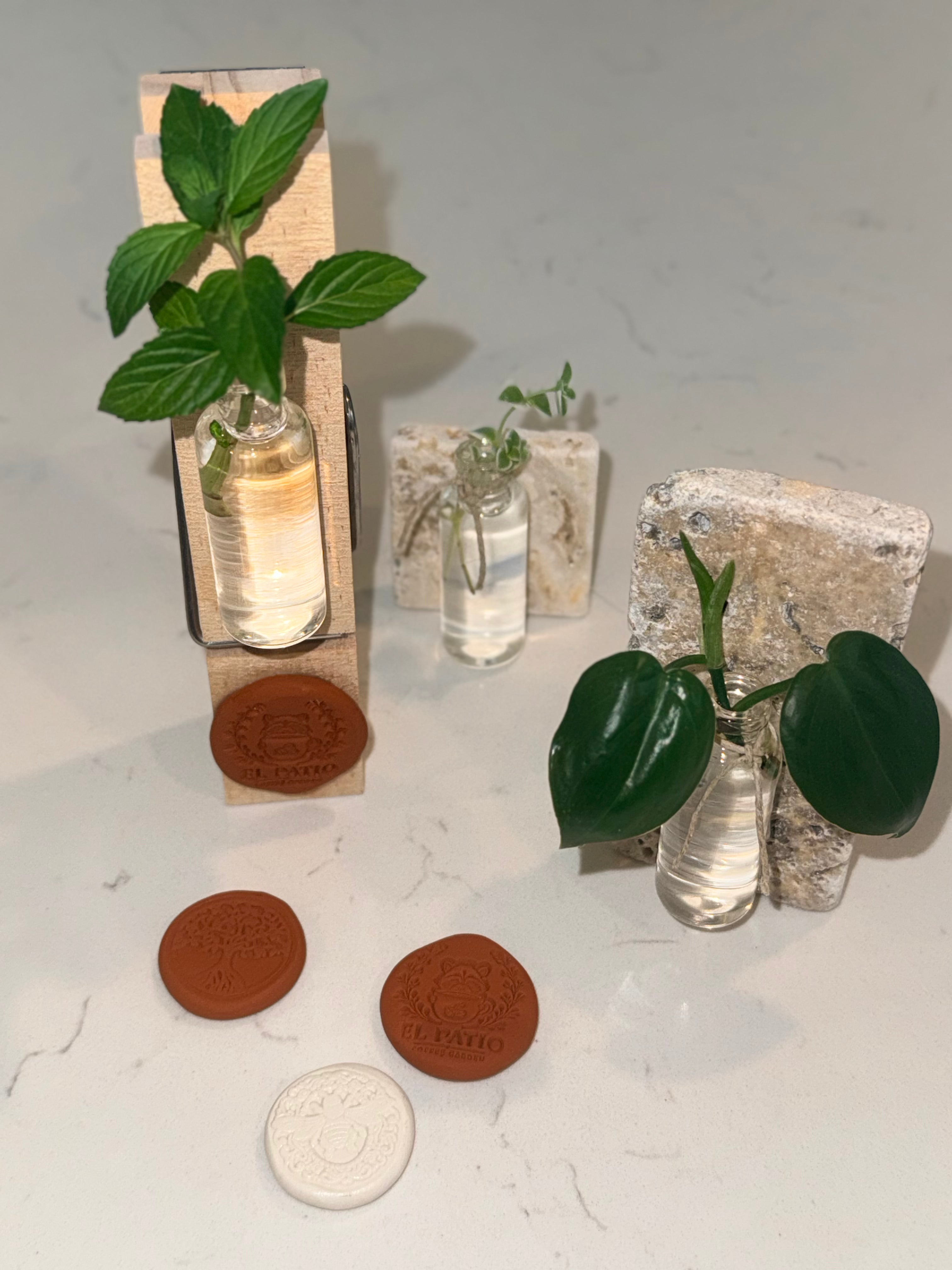 Propagation Magnets