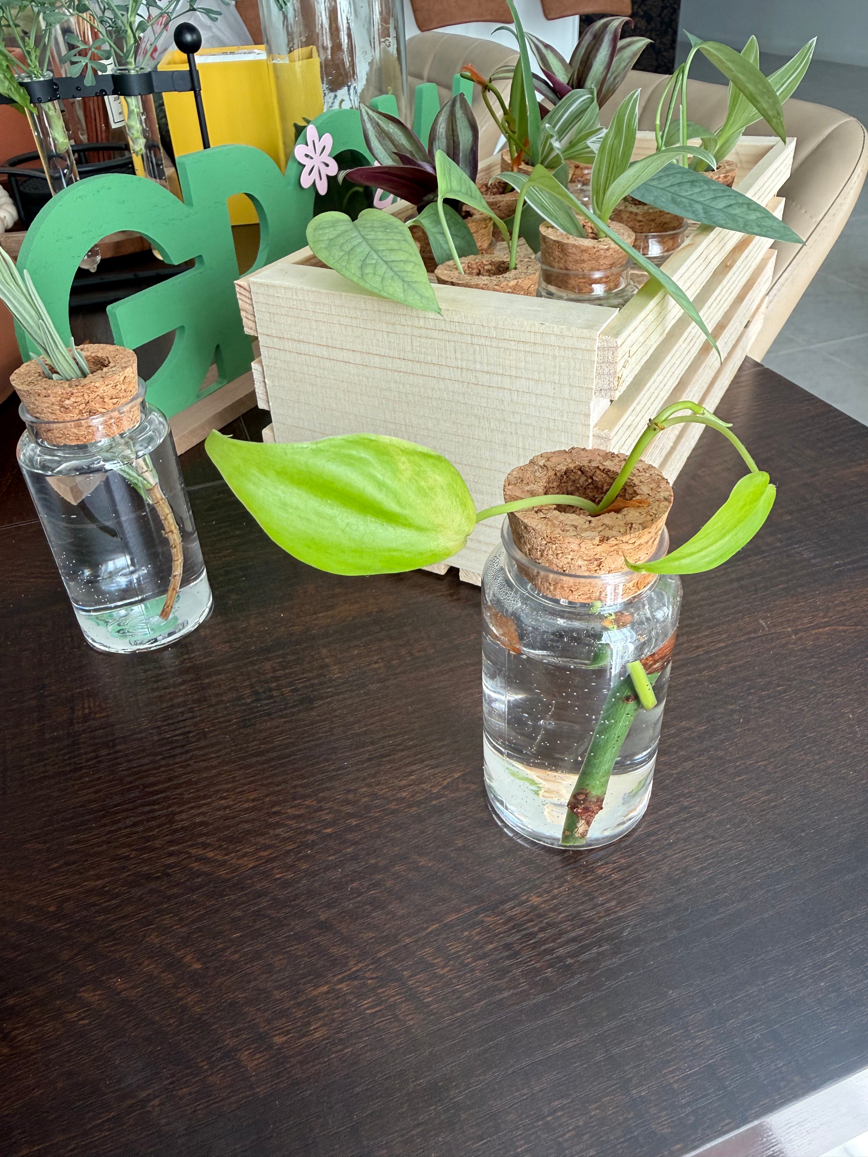 Premium Propagation