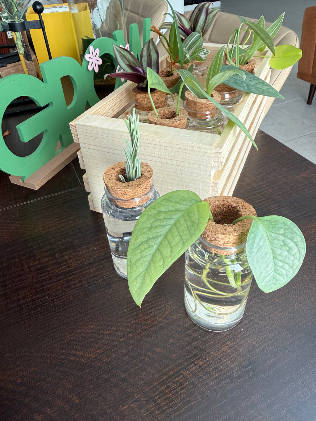 Premium Propagation