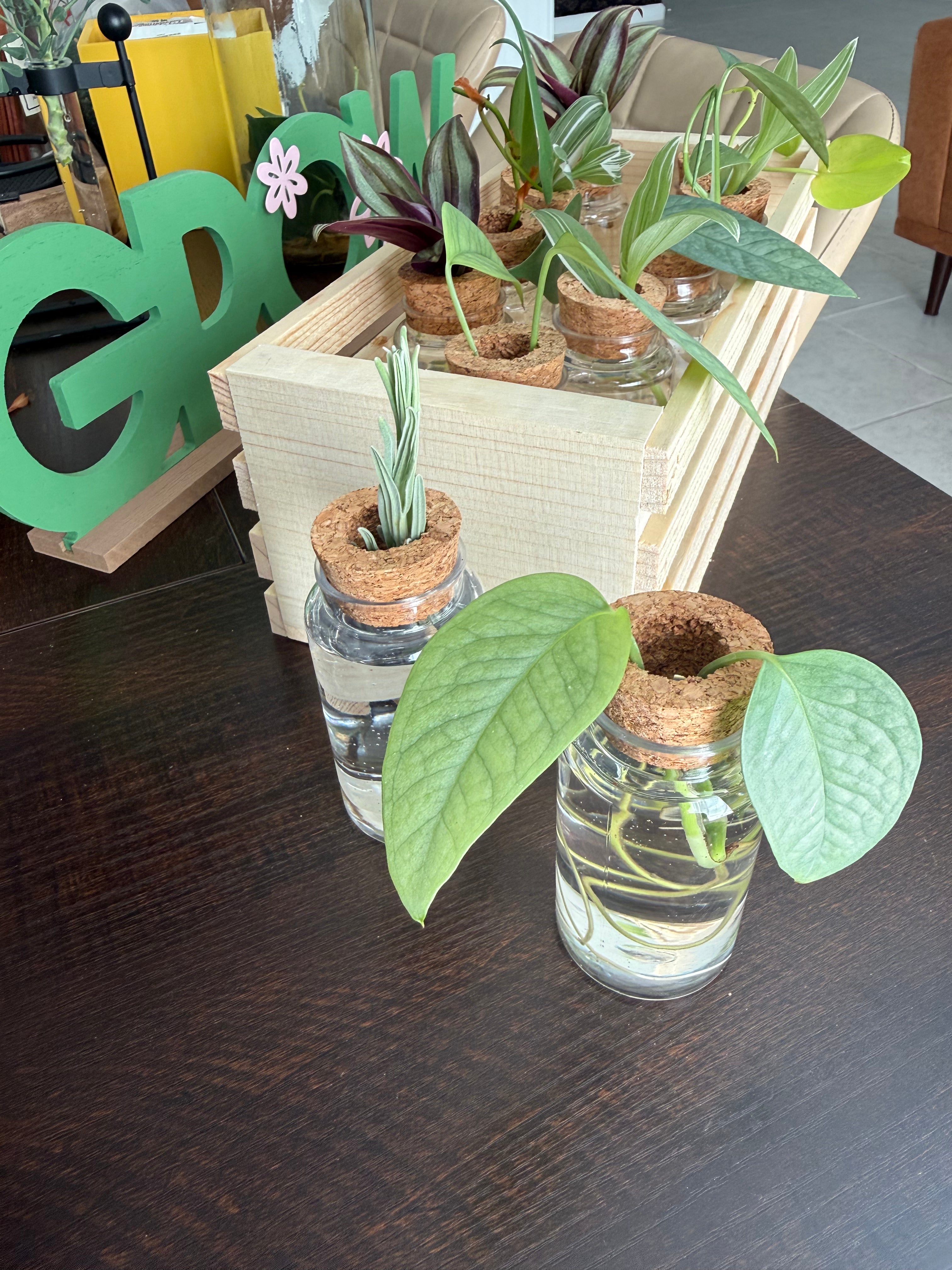 Premium Propagation