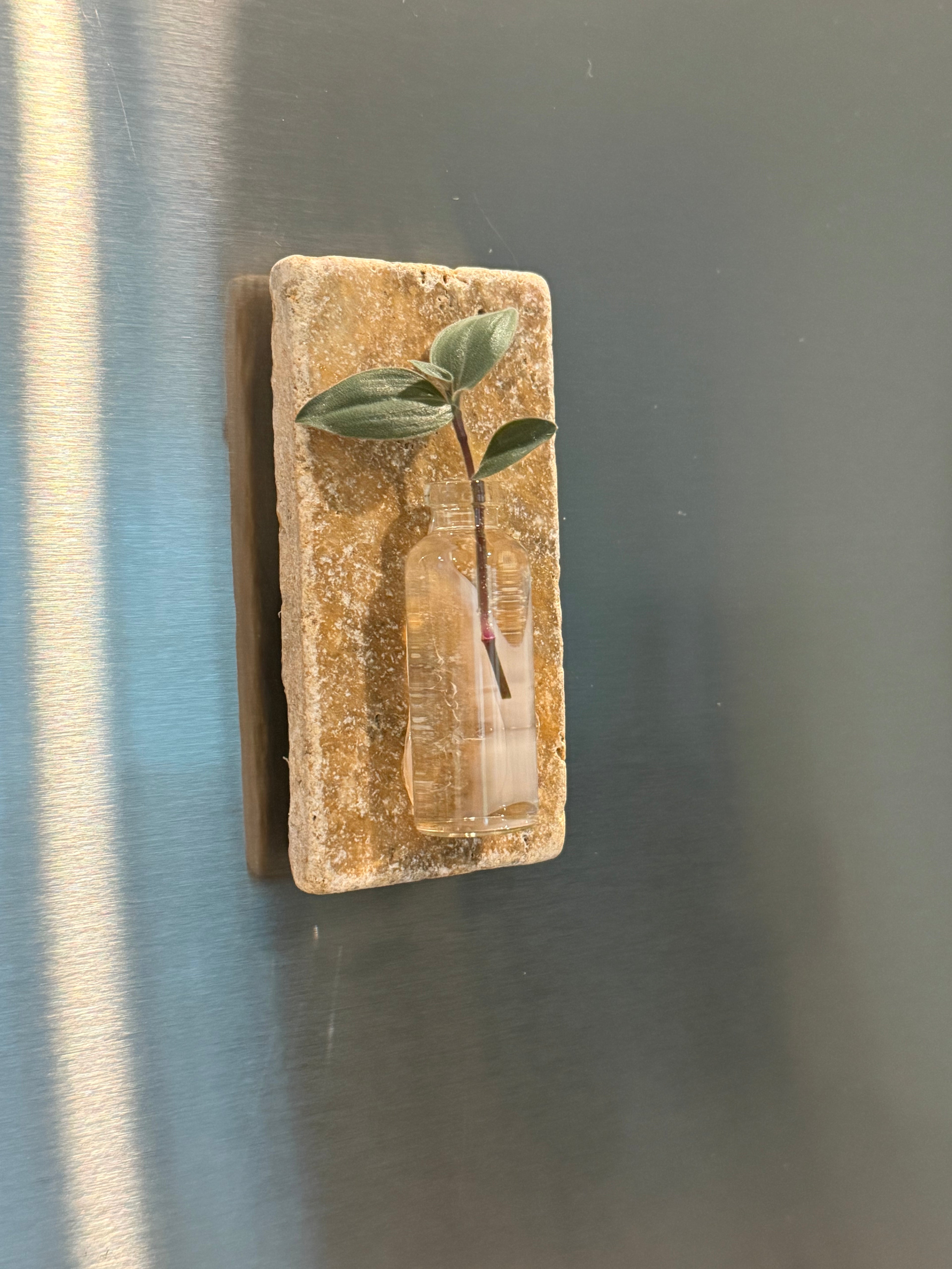 4” Propagation Magnets