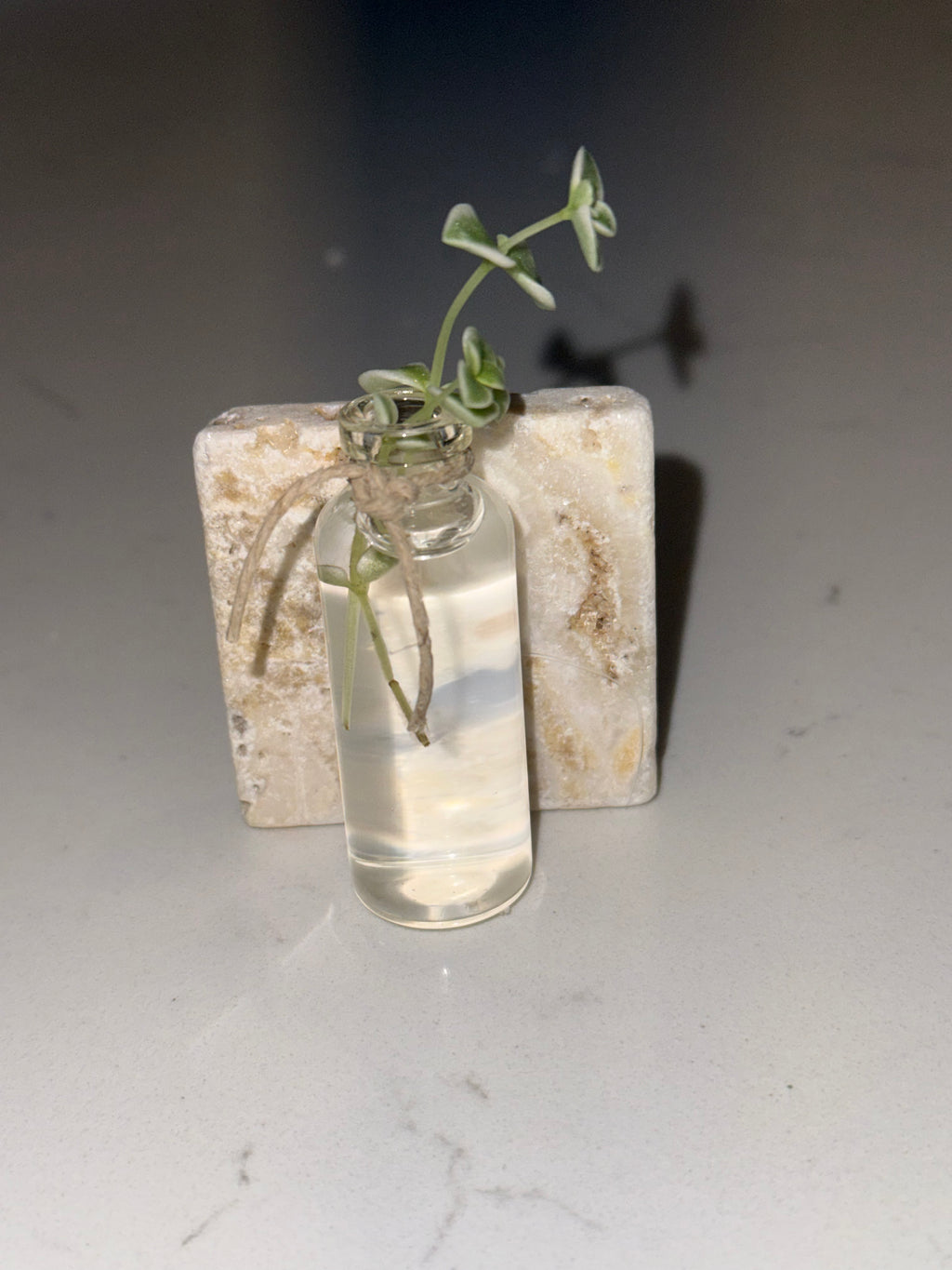 Propagation Magnets