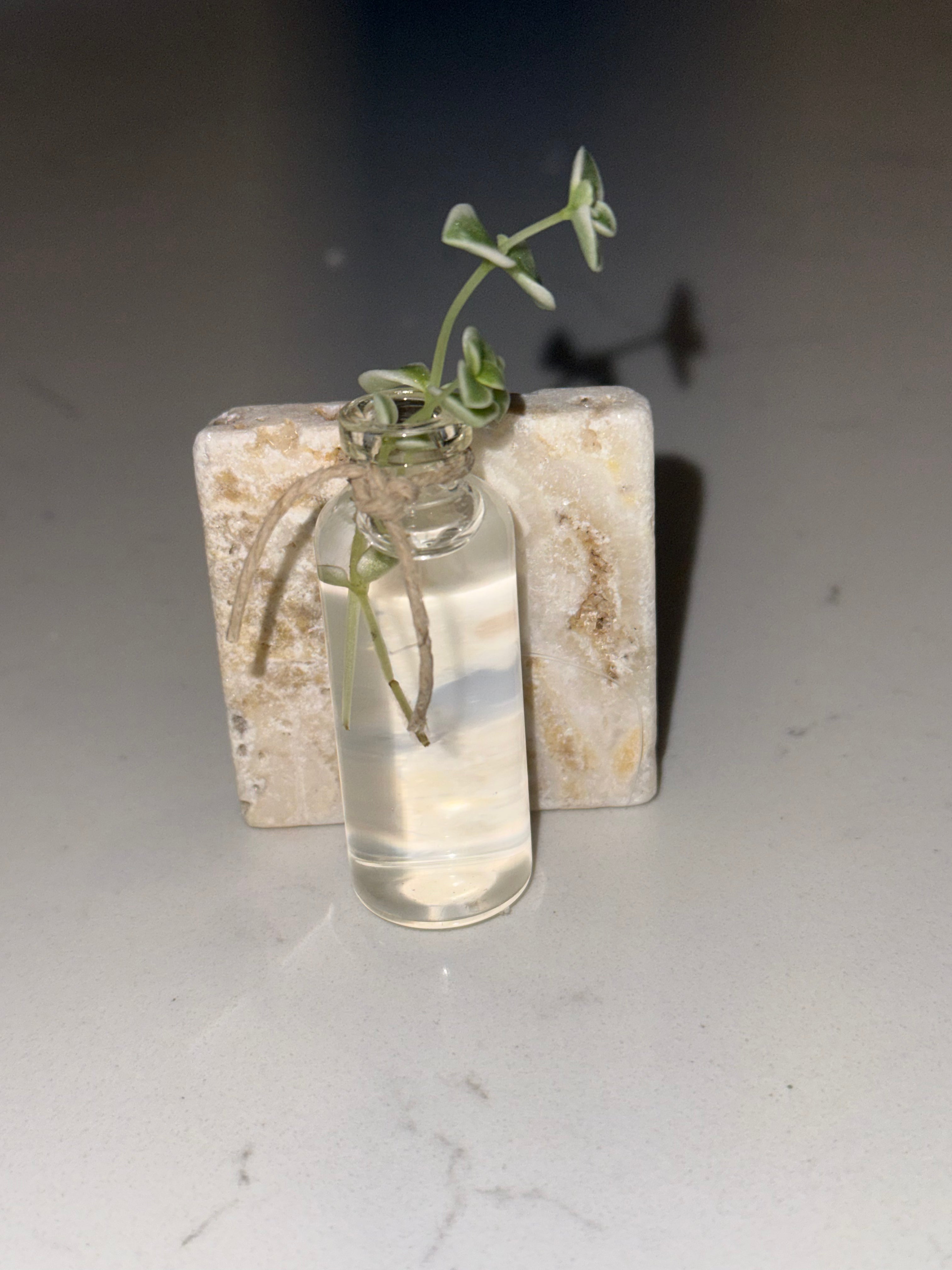 Propagation Magnets
