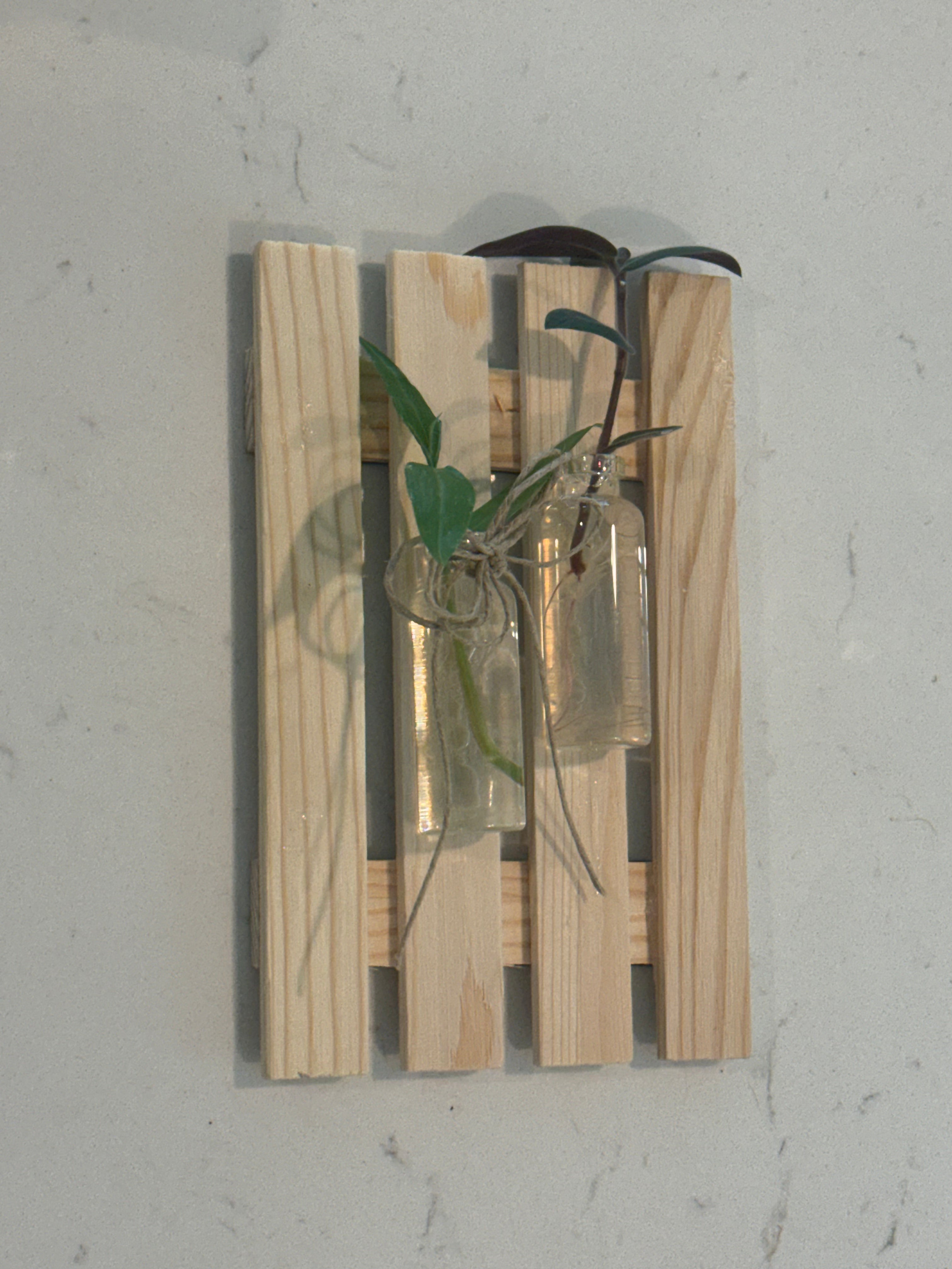 Propagation Magnets